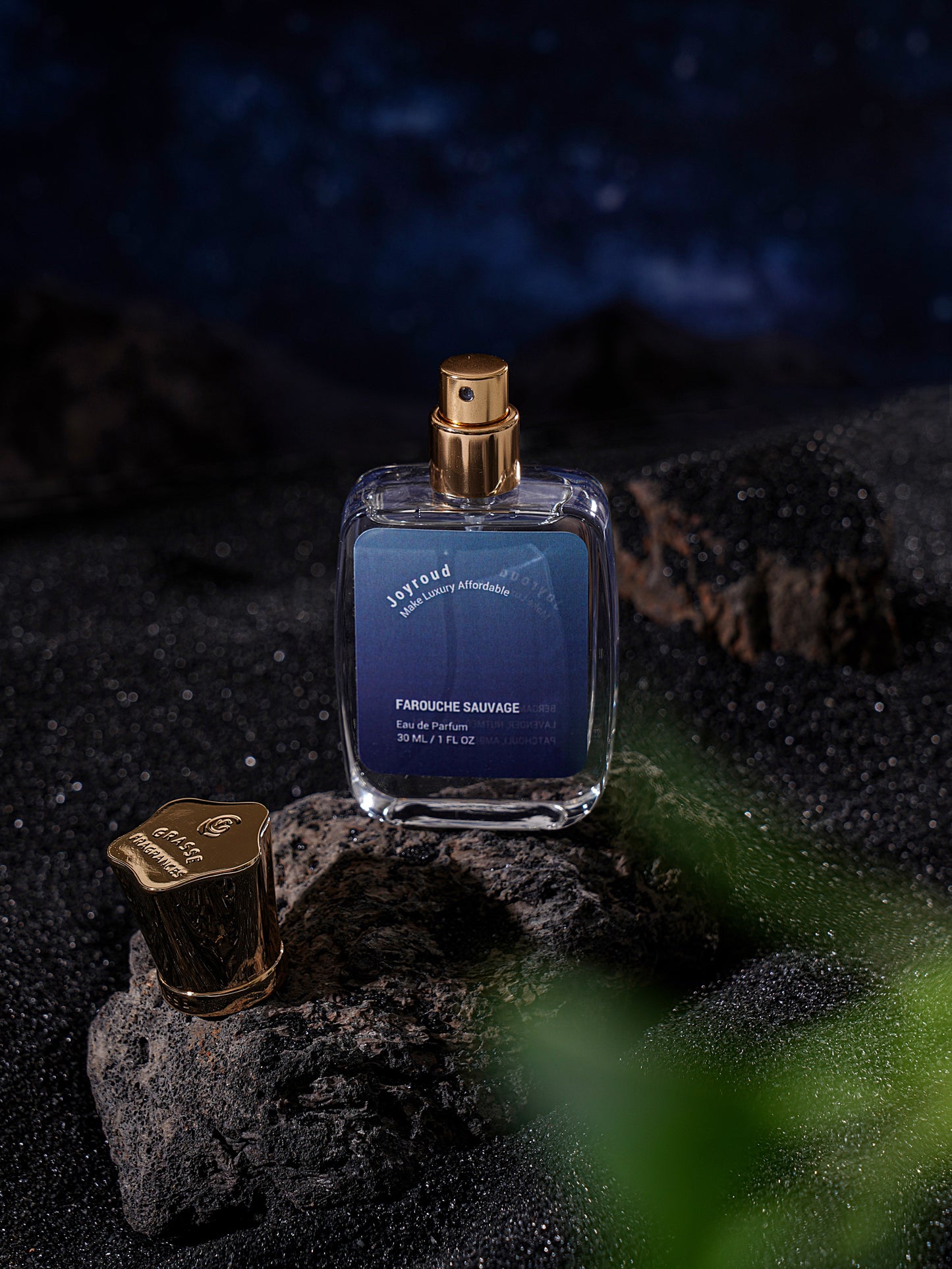 Farouche Sauvage