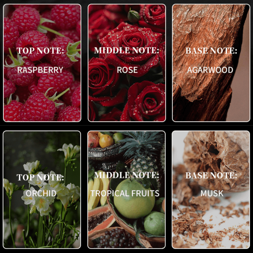 3.4Oz Floral Perfume for Women Long Lasting, Arabic Oriental Floral Scent, Elegant & Mysterious Perfume de Mujer, Perfect for Work, Dating & Sports, Ideal Valentine Gift for Her